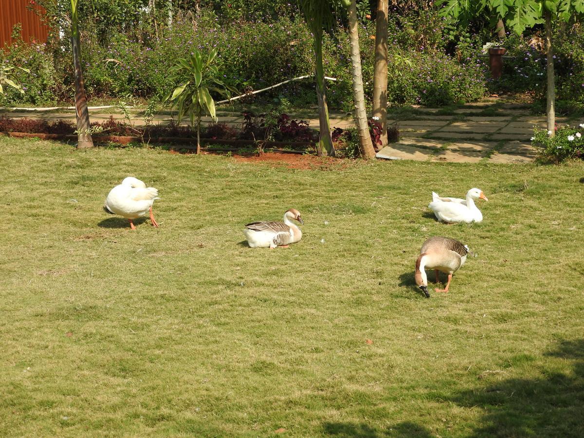 Nature Leap Resort Igatpuri Kültér fotó