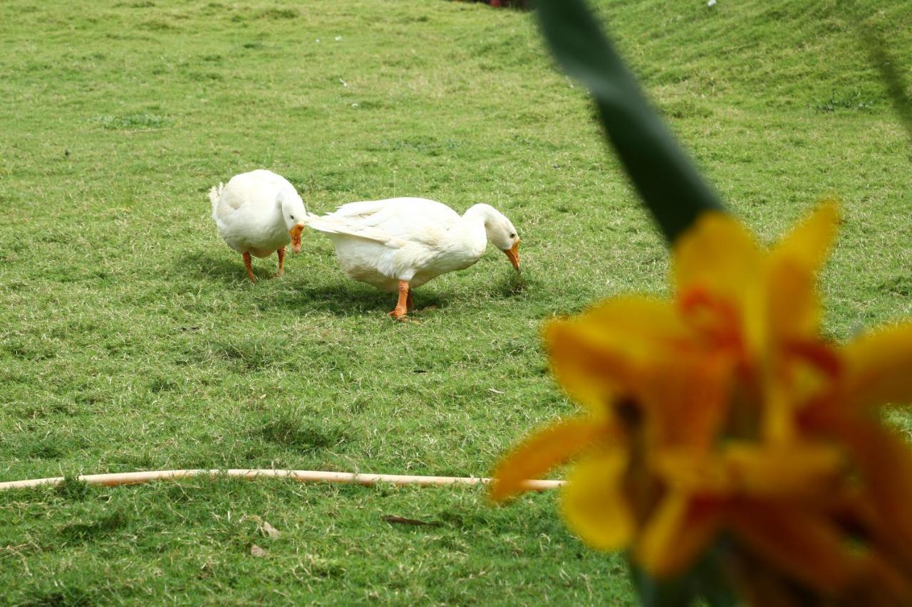 Nature Leap Resort Igatpuri Kültér fotó